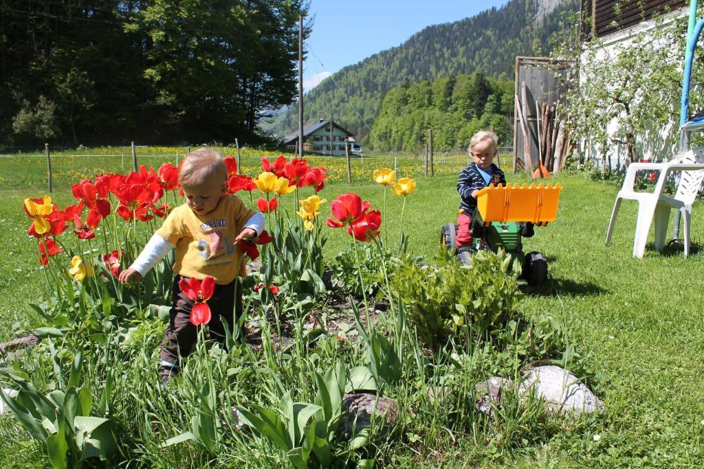 Ferienwohnungen Sutter Au (Vorarlberg) Екстериор снимка