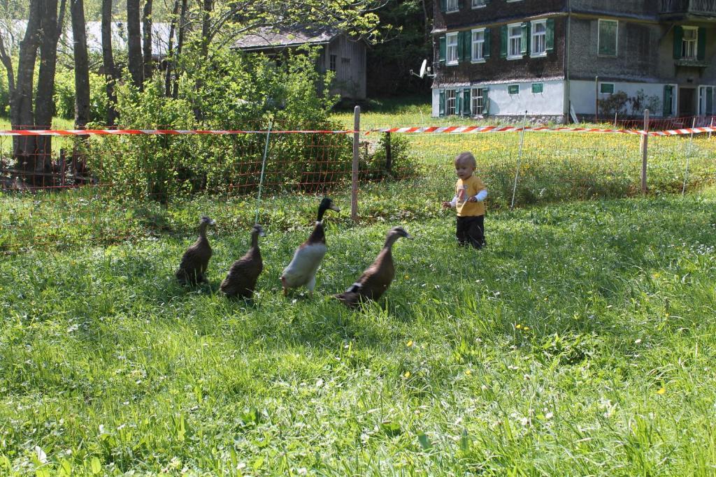 Ferienwohnungen Sutter Au (Vorarlberg) Екстериор снимка